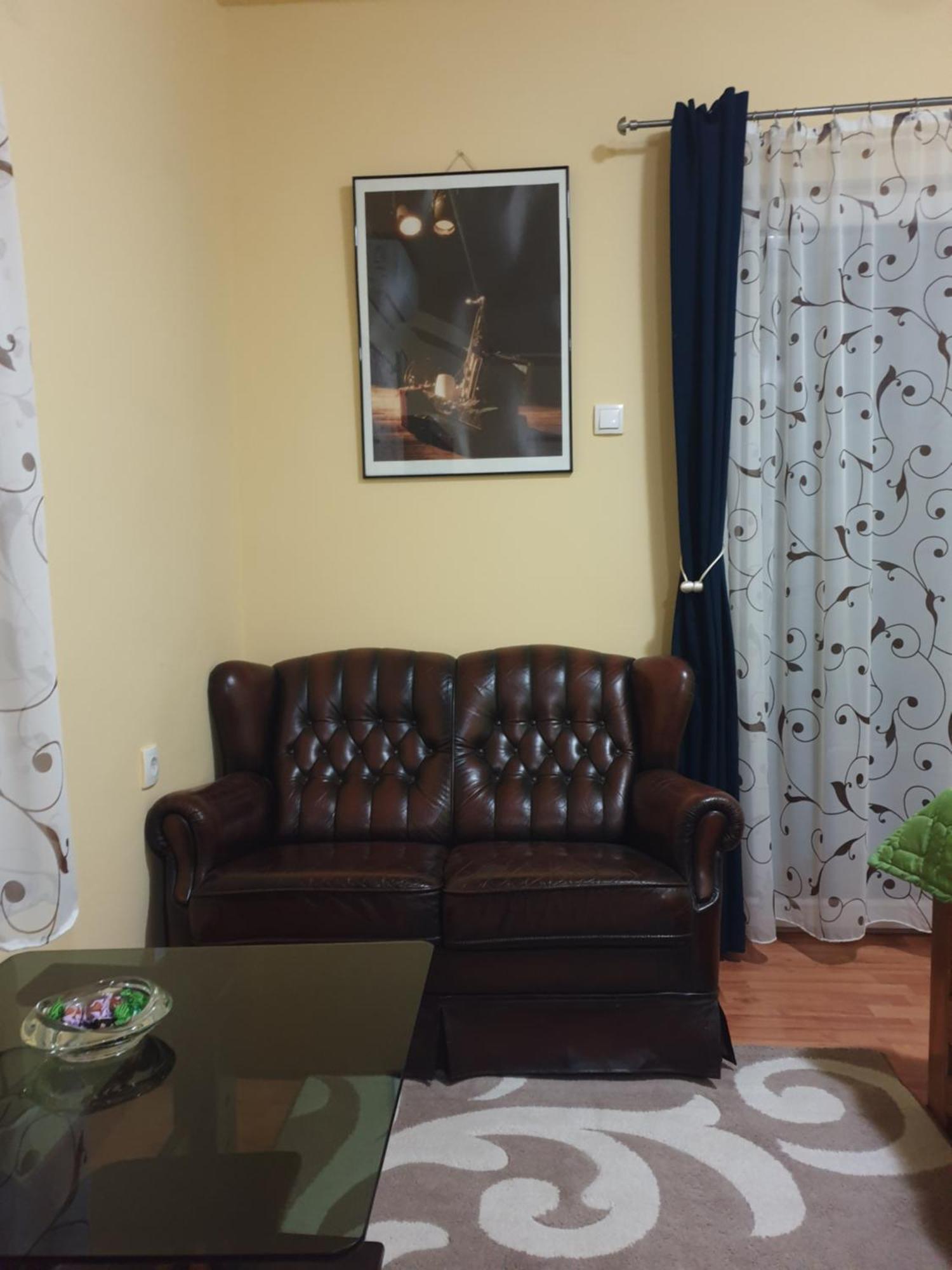 Apartman Sasa Banja Koviljača Eksteriør billede